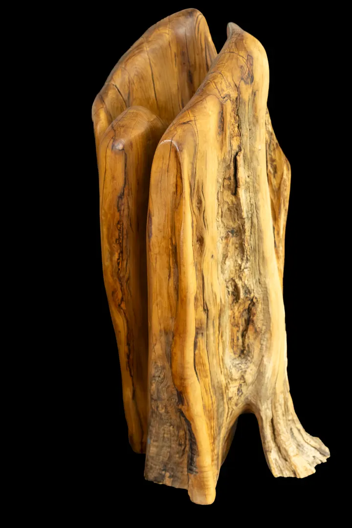 Dens I
