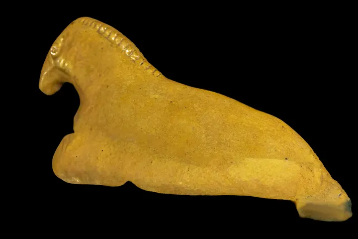 Rückseite
